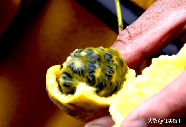 一条路，落叶无迹——贵州冬日风光