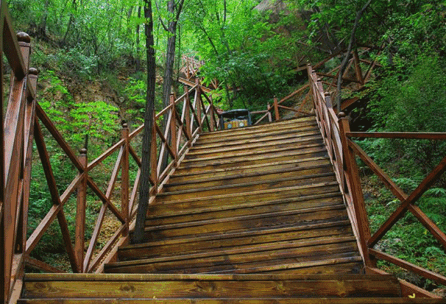 干货！敬业旅游区带你玩出新花样