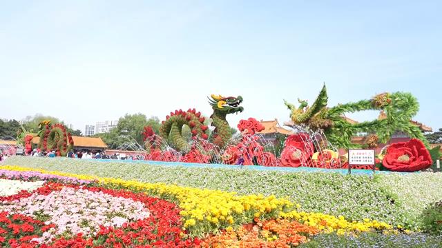 师恩如诗，秋日邀约丨沈阳东陵、北陵公园，期待与您漫步秋光