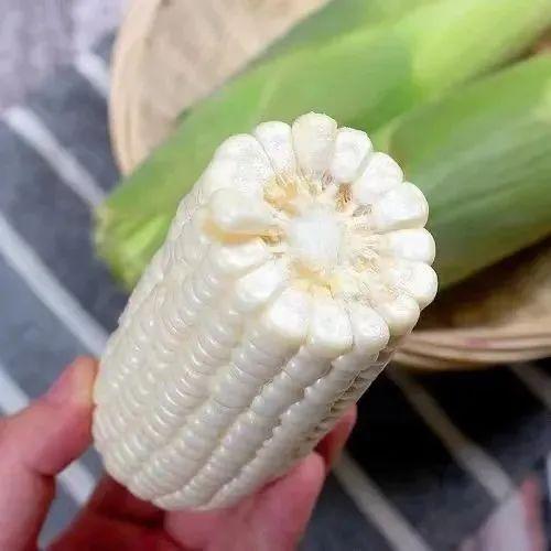 许昌亲子游：科技探秘+历史穿越+自然撒欢，一站式玩学超满足！
