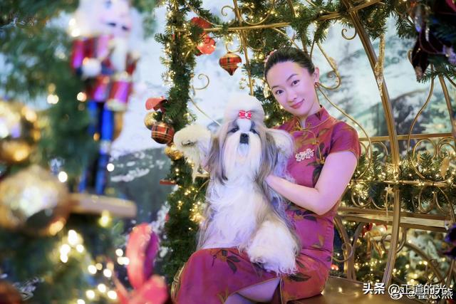 霍思燕穿旗袍携爱犬夺冠前凸后翘丰乳肥臀 难怪杜江对她生理性喜欢