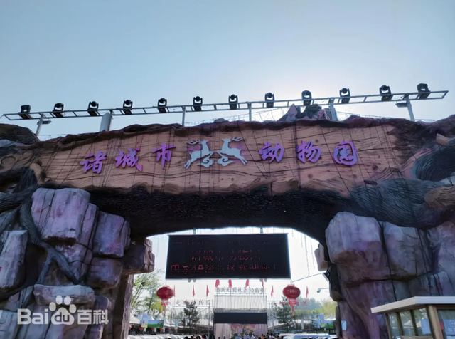 突发，山东诸城市动物园一梅花鹿冲撞小朋友，园区回应：医院检查费用全部承担