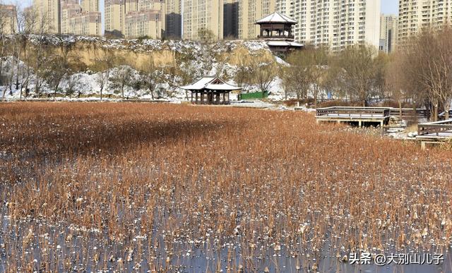 西流湖公园：傲雪寒梅俏枝头雪景如画醉游人