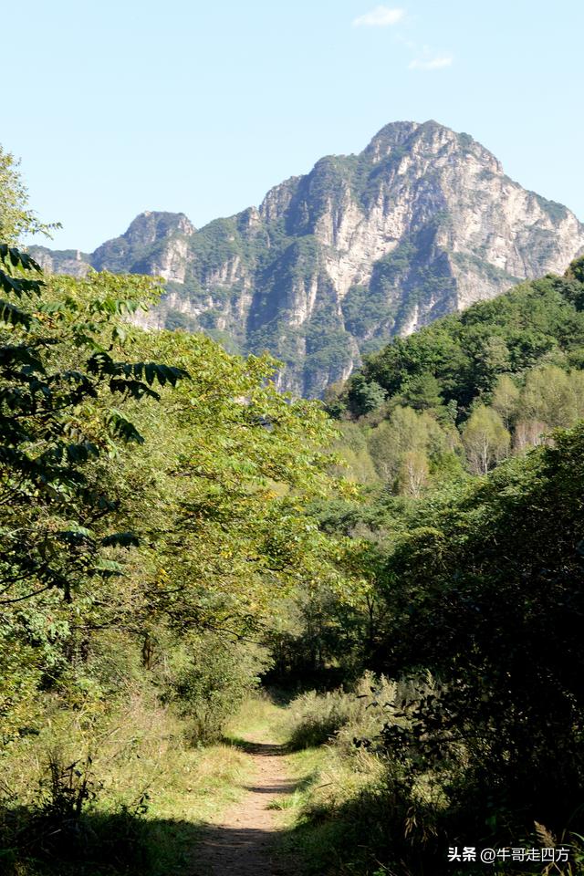 延庆应梦寺（五）：山巅极目收千嶂，林海听风涤尘心