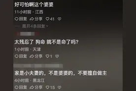 婆婆砍死3条狗后续：小姑子出面指责嫂子，揭露真相 果然事出有因图片