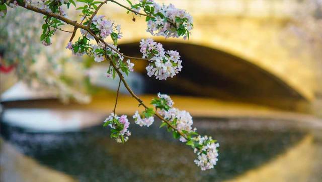 我家兄妹三个母亲跟我养老	，每月给我3000生活费，两个哥哥不乐意