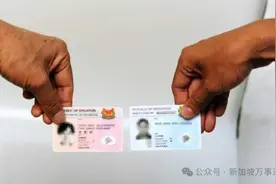 只拿新加坡绿卡却不入籍原因大曝光：父母年迈、让娃双国籍！图片
