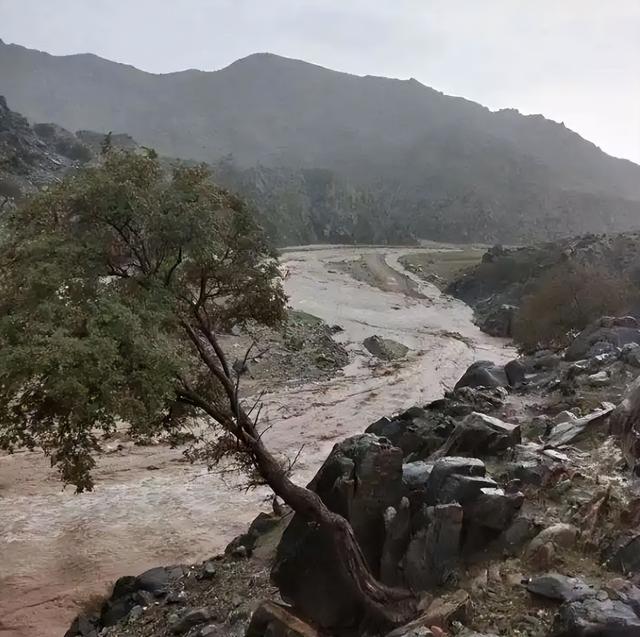 13人露营10死后续！擅自前往野景，牧民曾提醒过，没一个值得同情