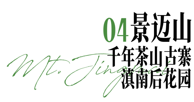 云南上榜全球最佳目的地！跟着《纽约时报》，重新走一遍茶马古道