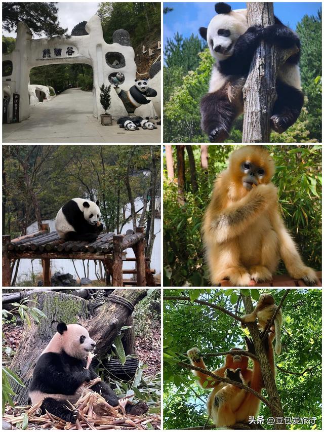 汉中深度游指南：历史、山水与熊猫的盛宴