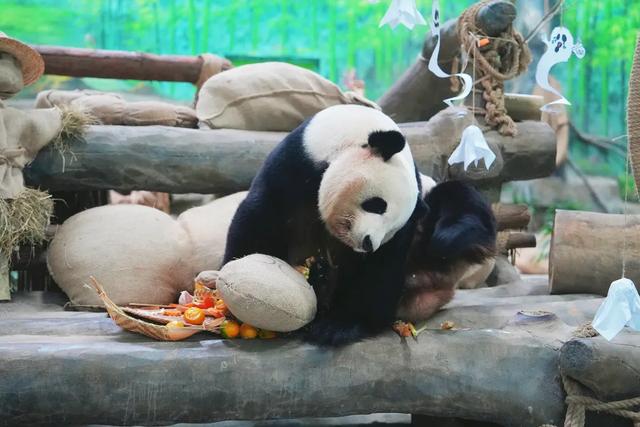 好“牛”!国宝顶流,厦门首展!送票→