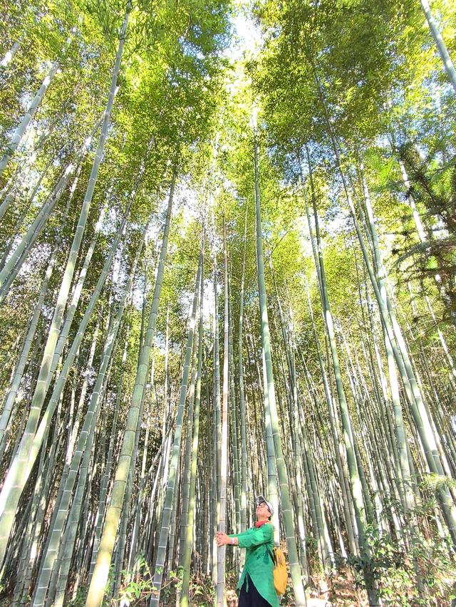 自驾邵武和平古镇三日游(十四) 2025·9·25-27