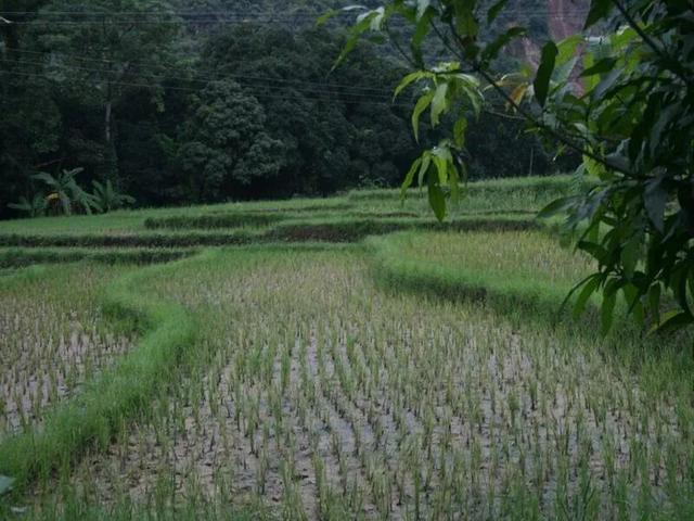 一座四季皆暖的旅居之城——冬季相逢在建水