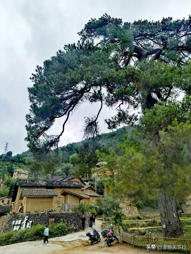 进山寻觅松阳的古村落，结果让我看到了与北方不一样的地方