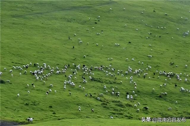 3A景区+1！大美宕昌等你来