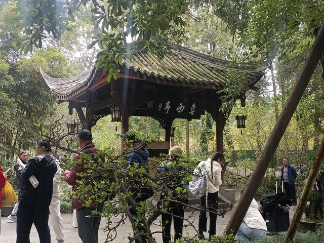 蓉城漫记：在诗与烟火里邂逅成都