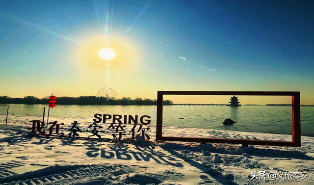 洛阳宝宝冲！四条线路解锁“一山一圣”的新玩法，朋友圈从洛阳卷到山东！