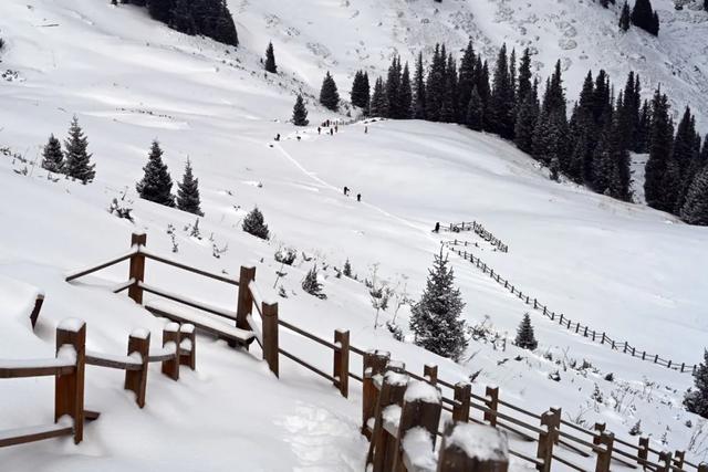 为了这道光，我做了一次疯狂的行动