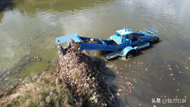 这些年，异龙湖的这“一抹蓝”更动人了