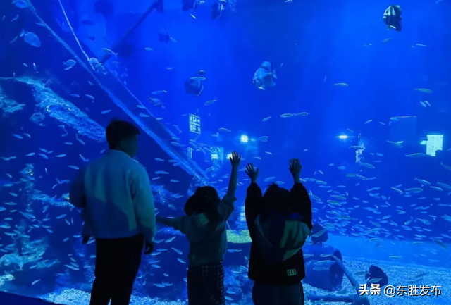 速来！半价特惠！