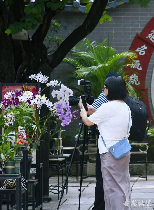 精品兰展“出圈” 非遗互动吸睛 余荫山房国庆中秋系列活动留住游客美好记忆