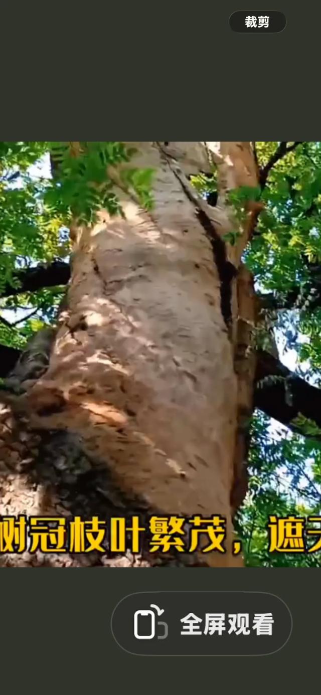 北京报国寺太痛心！千年古寺历劫，如今现状堪忧。