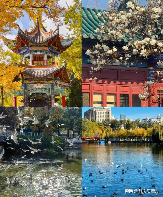 我是河南人，一家人来了趟云南昆明忍不住有五个小疑问想和你聊聊