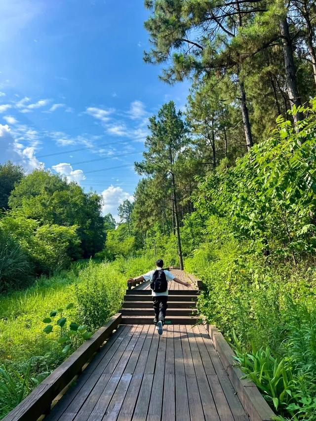 收拾收拾，又有景区“升咖”了