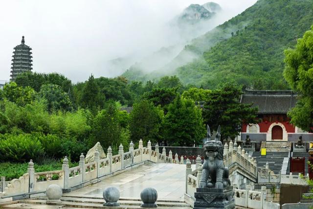 我想离开浪浪山，去房山看看！