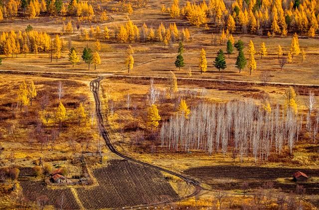 不藏了，除了草原，内蒙5个秋色仙境，最后一个颠覆你赏秋眼光！