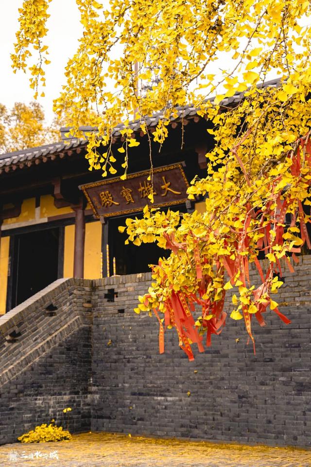 秋日预“景”！接下来的三国水浒城是这样的~