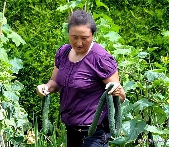 郎平做梦也没想到，曾获五连冠女排队长杨锡兰，如今在瑞士当保安