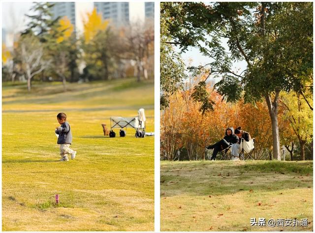 地铁直达！秋日末尾的“落叶大道”不可错过！