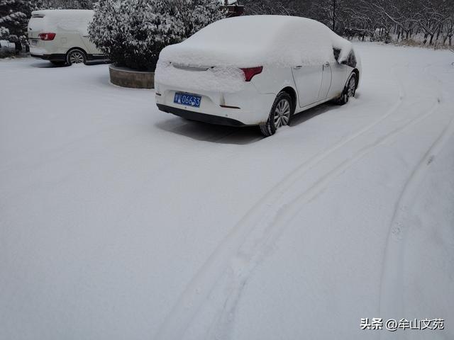 雪后杂感