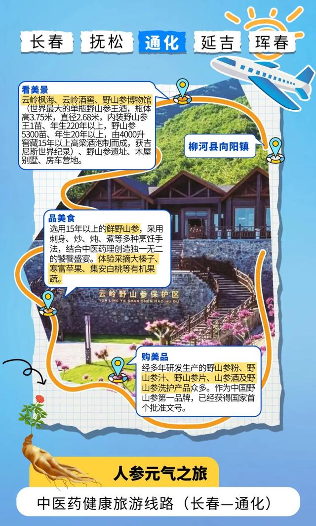 这把~养生局！元气之旅GoGoGo！