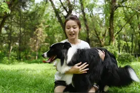 “宠”出新花样，“毛孩子”也上幼儿园 宠物托管，为家长解决后顾之忧图片