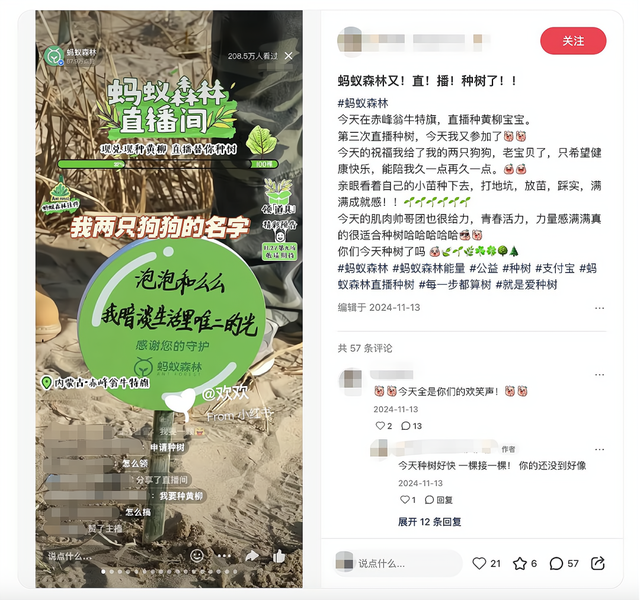 看见直播间里种树，年轻人就走不动道了
