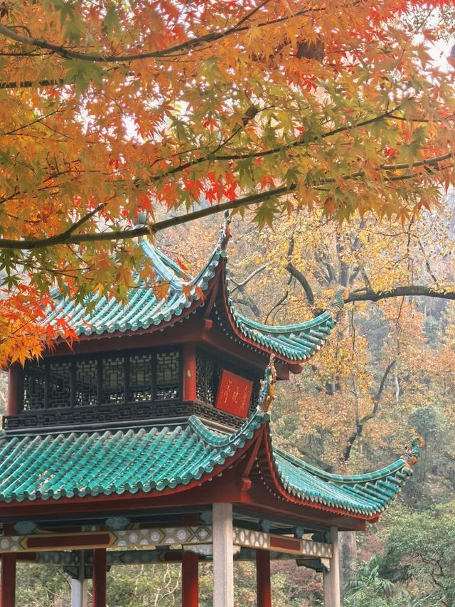 广州人逛了长沙和武汉，直言不讳：长沙和武汉人根本是两种活法！