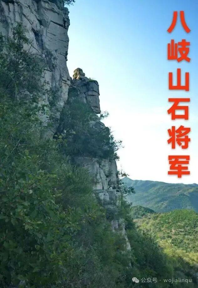 孙家东：家乡的那山、那集、那庙湾