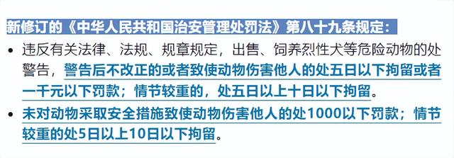 “史上最严”！下月起实施，这一行为最高可拘留10天罚1000元