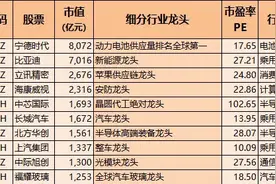 A股最全科技龙头，含半导体、新能源及通信，都是机构关注的方向图片