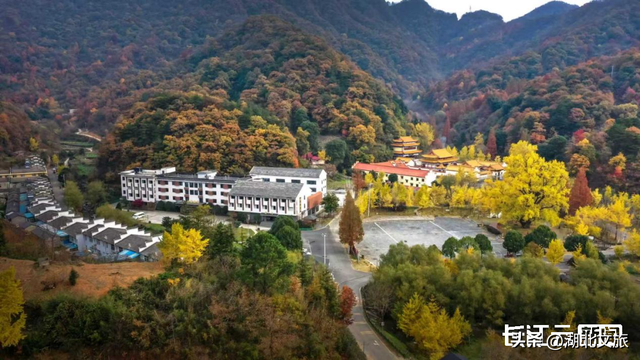 评分秋色：随州为啥被称为“杏”运城市？