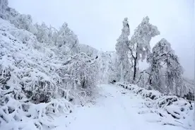 气温突破冰点，绵阳发布低温冻害安全风险提示图片