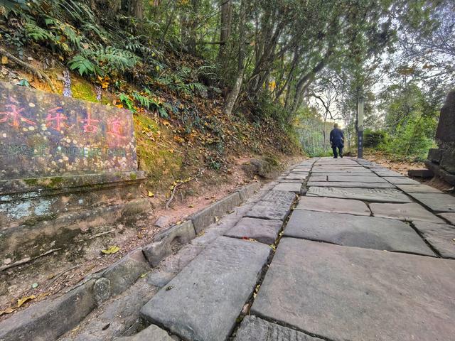 问道九华 不期而遇