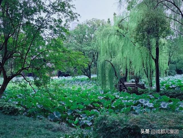 新都，被低估的好地方