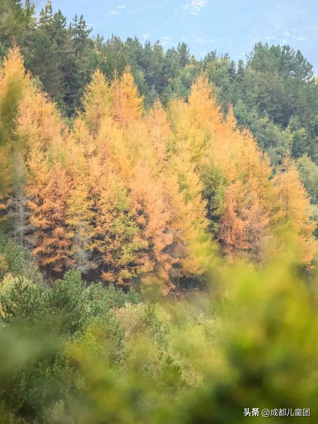 成都周边8条赏秋彩林线,人少景美,12年资深徒步玩家推荐