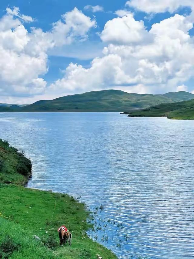 8月避暑超推荐这4个旅行地，忙累了，就冲进20℃的清凉夏日！