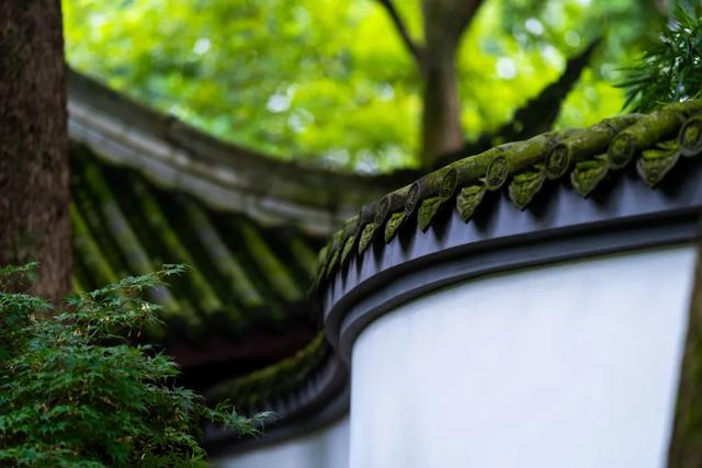 重磅加场！成都杜甫草堂博物馆暑期研学营的诗意之旅再升级
