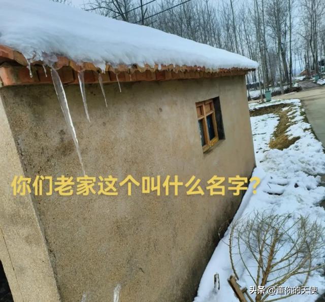 零下15度！河南四九天迎来寒冷暴击，真的要“猫冬”了？