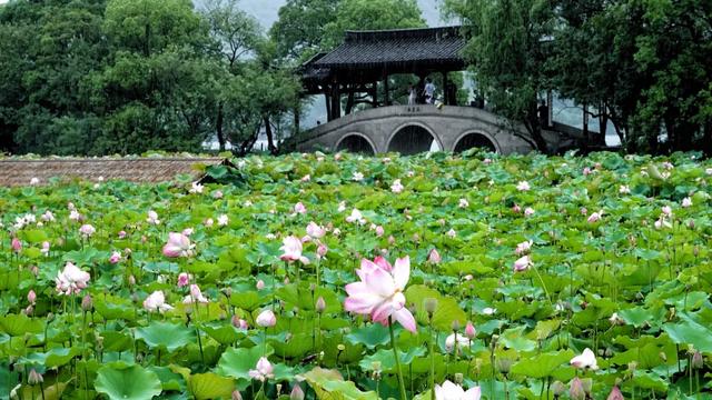 各地福利升级！凭“浙BA”门票可享受这些优惠（附今晚赛程）